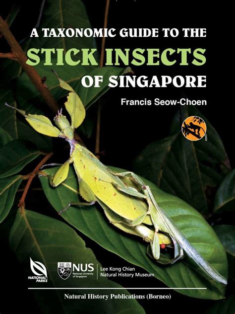 Guide to the stick and leaf insects of singapore. - 85 suzuki lt250 quadrunner repair manual.
